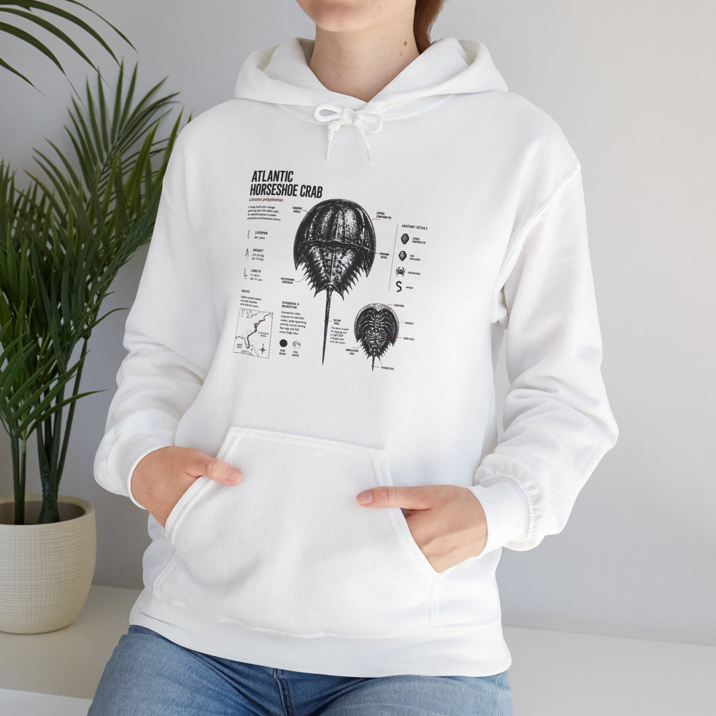 Horseshoe Crab Anatomy Hoodies