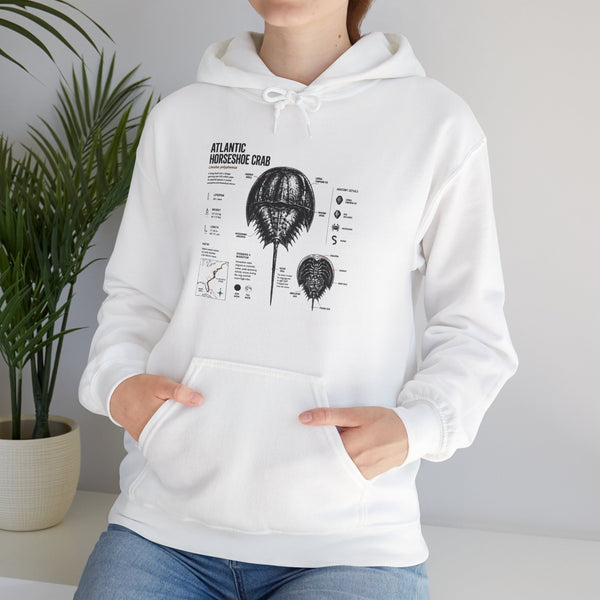 Horseshoe Crab Anatomy Hoodies