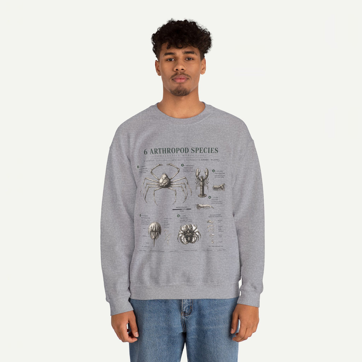 Arthropod Species Diagram Sweatshirt — Vintage Scientific Illustration Crewneck