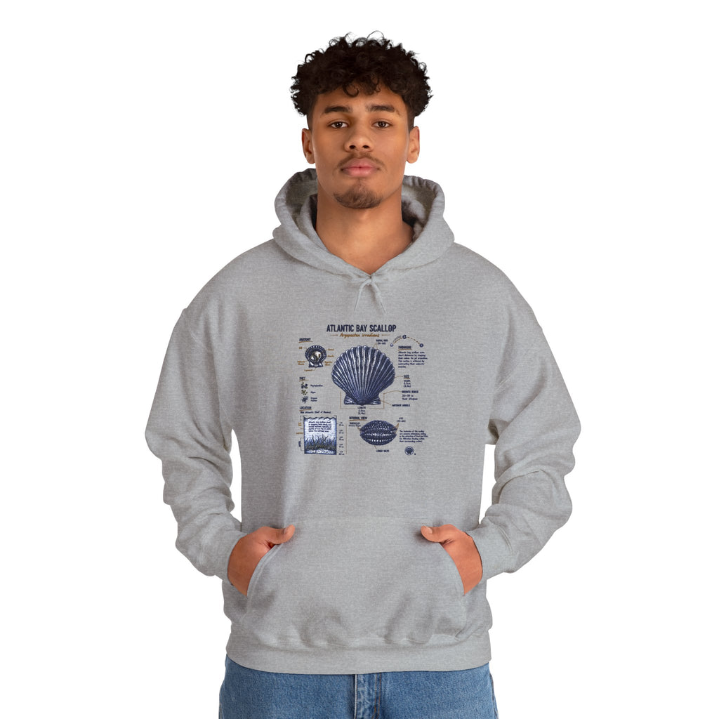 Seashell Anatomy Hoodie – Nautical Beach Diagram Sweatshirt