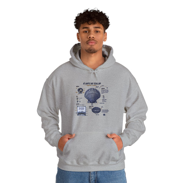 Seashell Anatomy Hoodie – Nautical Beach Diagram Sweatshirt