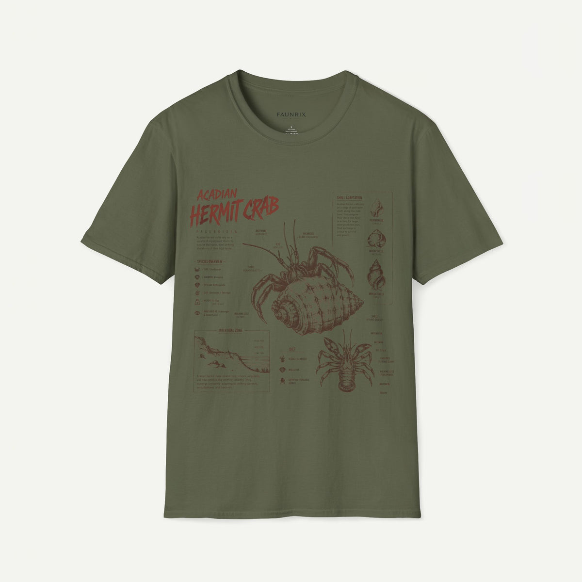 Hermit Crab Anatomy T-Shirt — Acadian Marine Illustration Tee