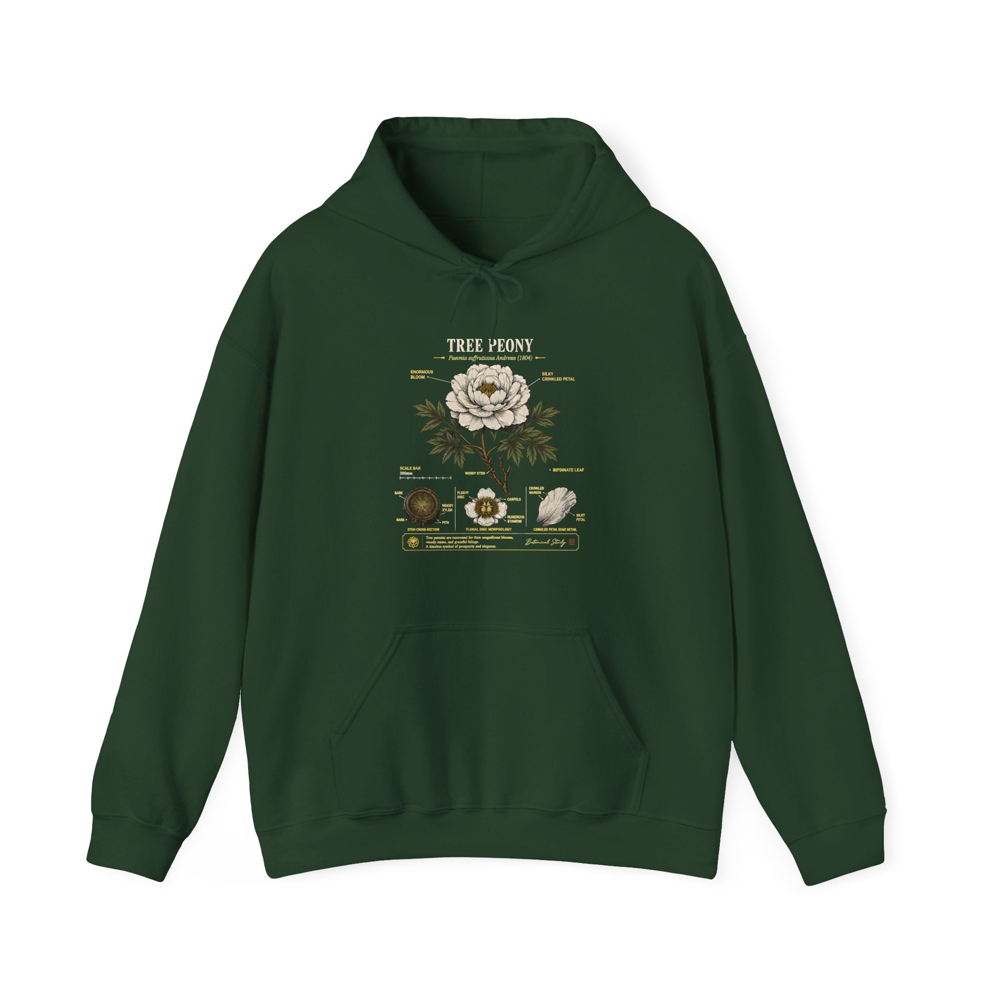 Floral Anatomy Hoodie — 'Tree Peony' Botanical Diagram Pullover Secondary image
