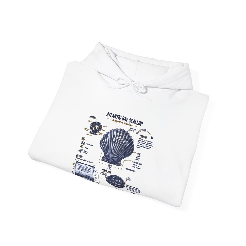 Seashell Anatomy Hoodie – Nautical Beach Diagram Sweatshirt