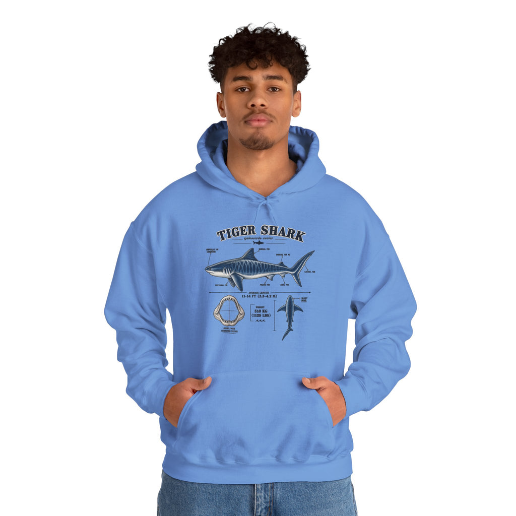Tiger Shark Anatomy Hoodie — Nautical Science Graphic Pullover