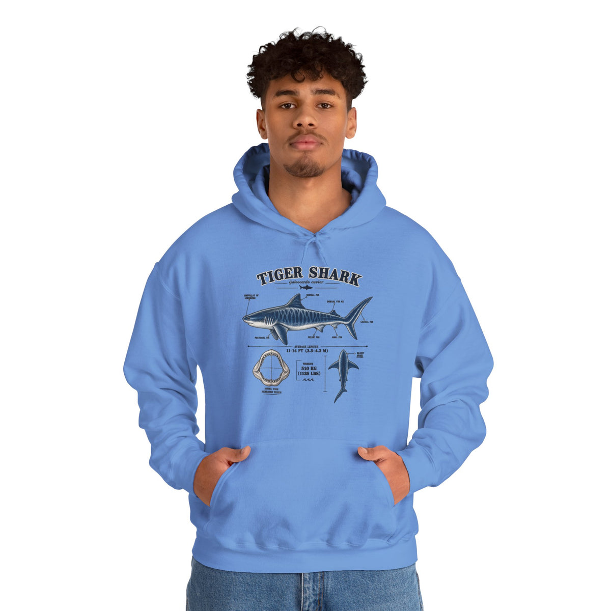 Tiger Shark Anatomy Hoodie — Nautical Science Graphic Pullover