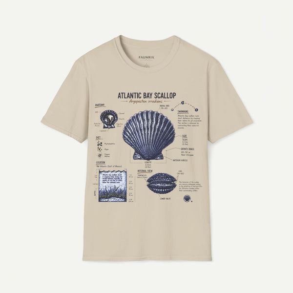 Scallop Shell Anatomy T‑Shirt — Atlantic Bay Scallop Illustration Tee