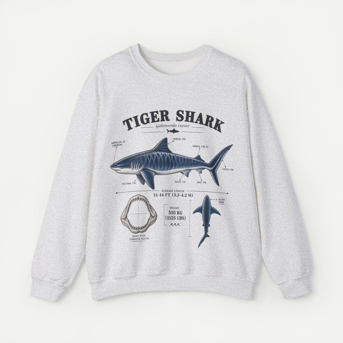 Tiger Shark Anatomy Sweatshirt Main image