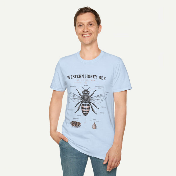 Western Honey Bee Illustration T-Shirt — Apis Mellifera Vintage Bee Anatomy Tee