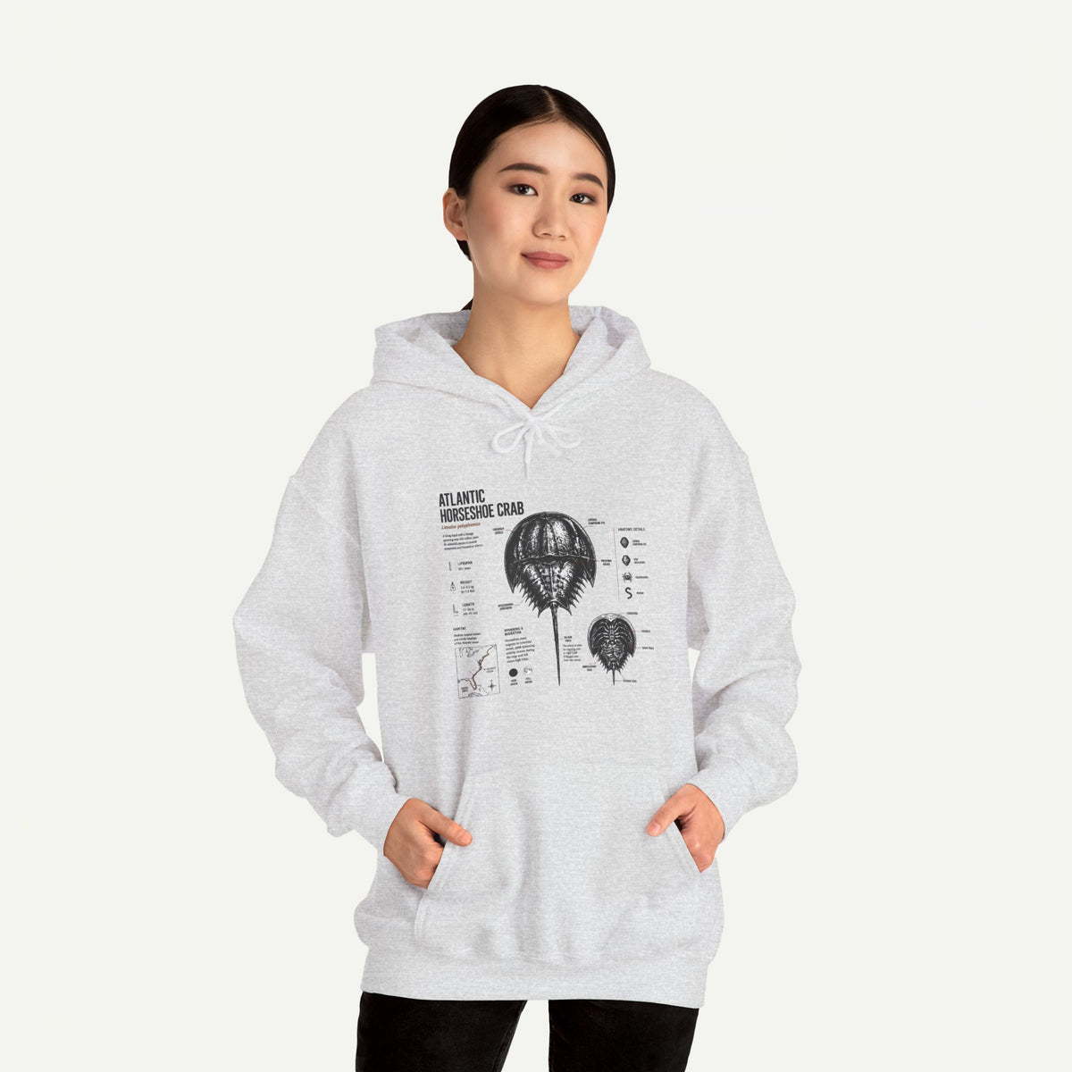 Horseshoe Crab Anatomy Hoodies