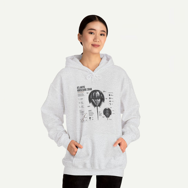 Horseshoe Crab Anatomy Hoodies