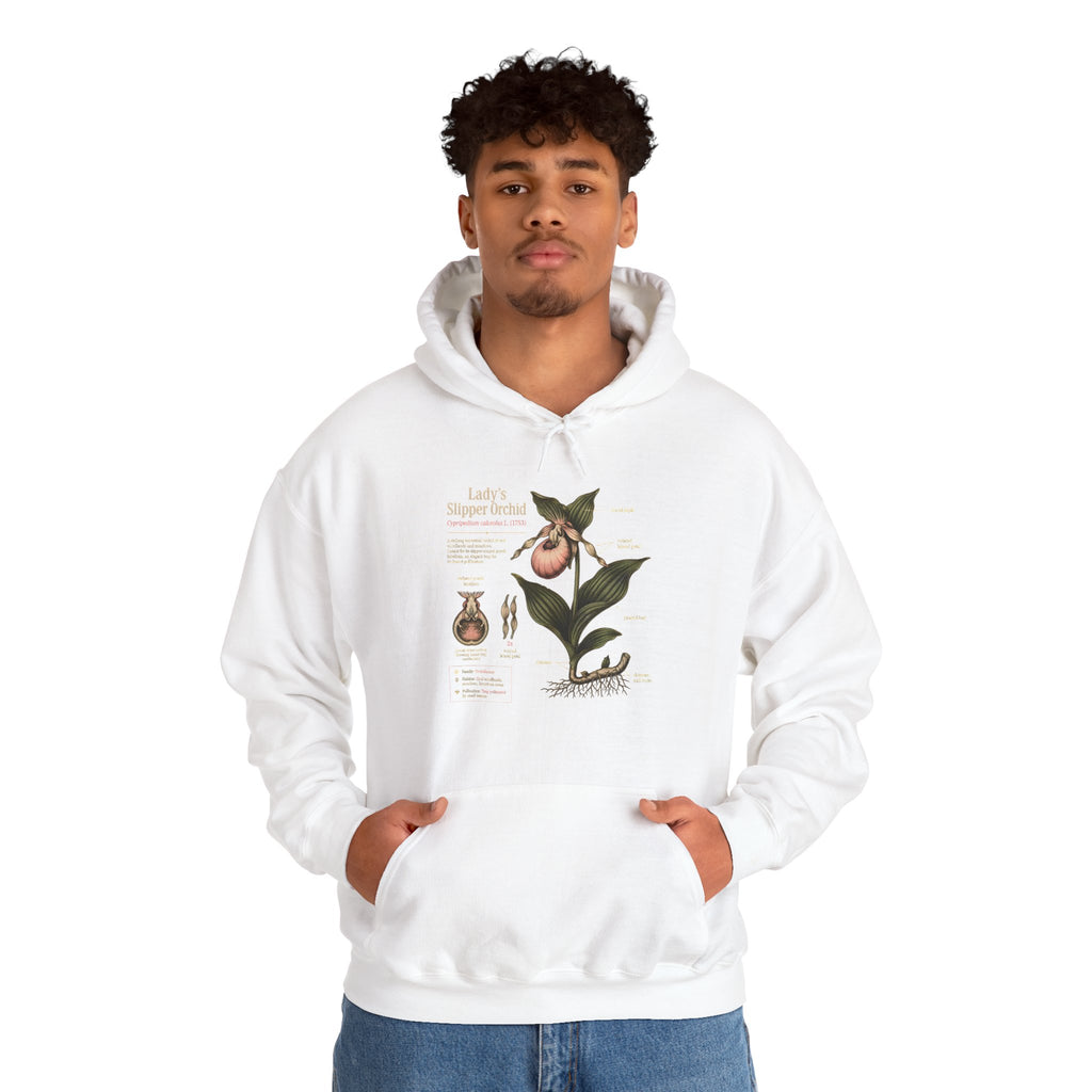 Botanical Peach Illustration Hoodie — Vintage Botanical Chart Sweatshirt
