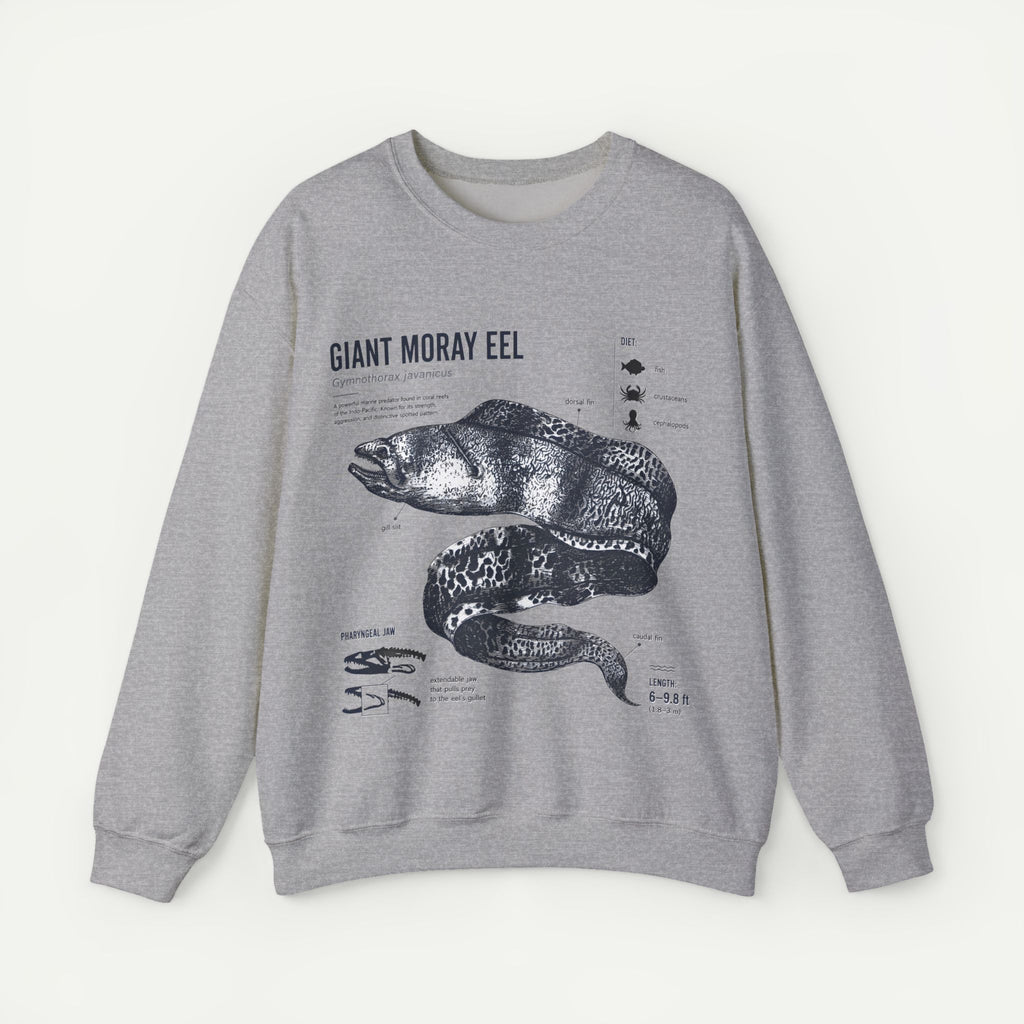Giant Moray Eel Anatomy Sweatshirt