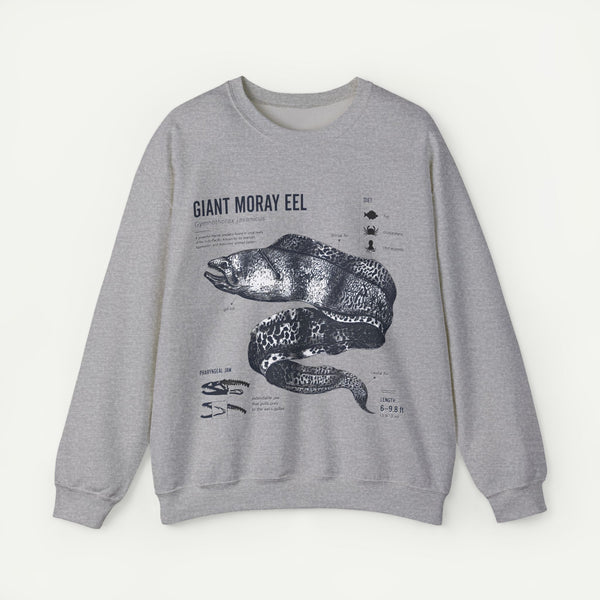 Giant Moray Eel Anatomy Sweatshirt