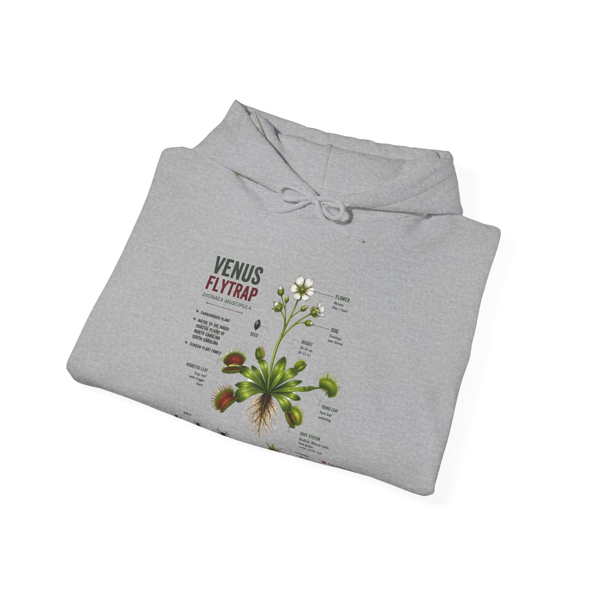 Venus Flytrap Botanical Hoodie – Illustrated Carnivorous Plant Guide
