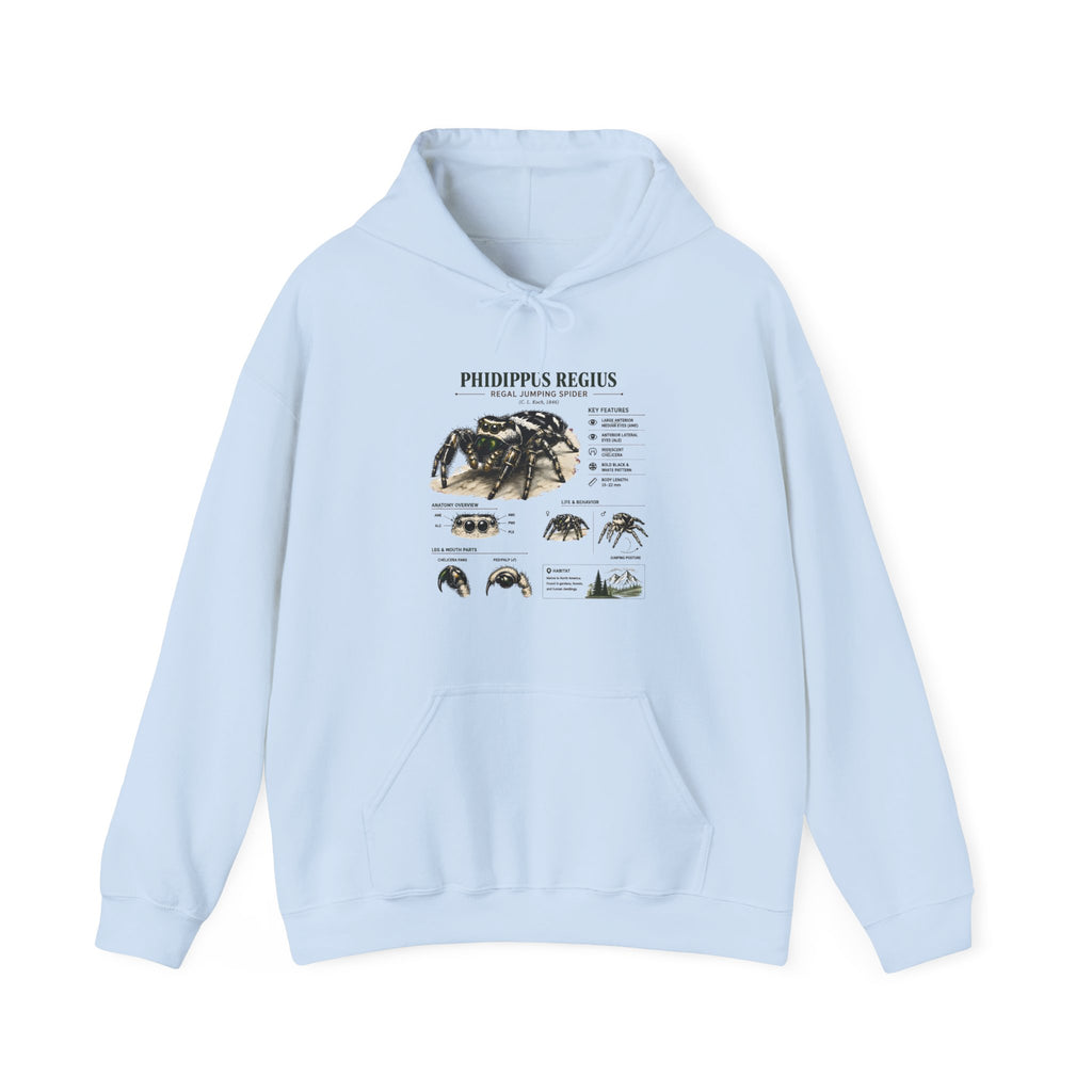 Tarantula Species Hoodie — Phidippus Regius Educational Spider Sweatshirt