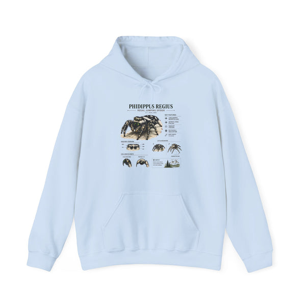 Tarantula Species Hoodie — Phidippus Regius Educational Spider Sweatshirt