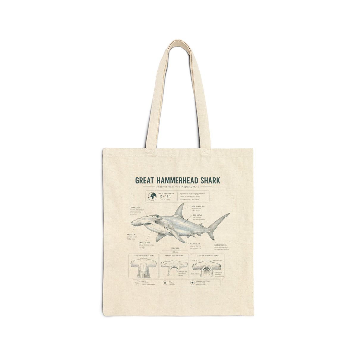 Great Hammerhead Shark Anatomy Canvas Tote Bag — Marine Biology Diagram Beach Bag Main image