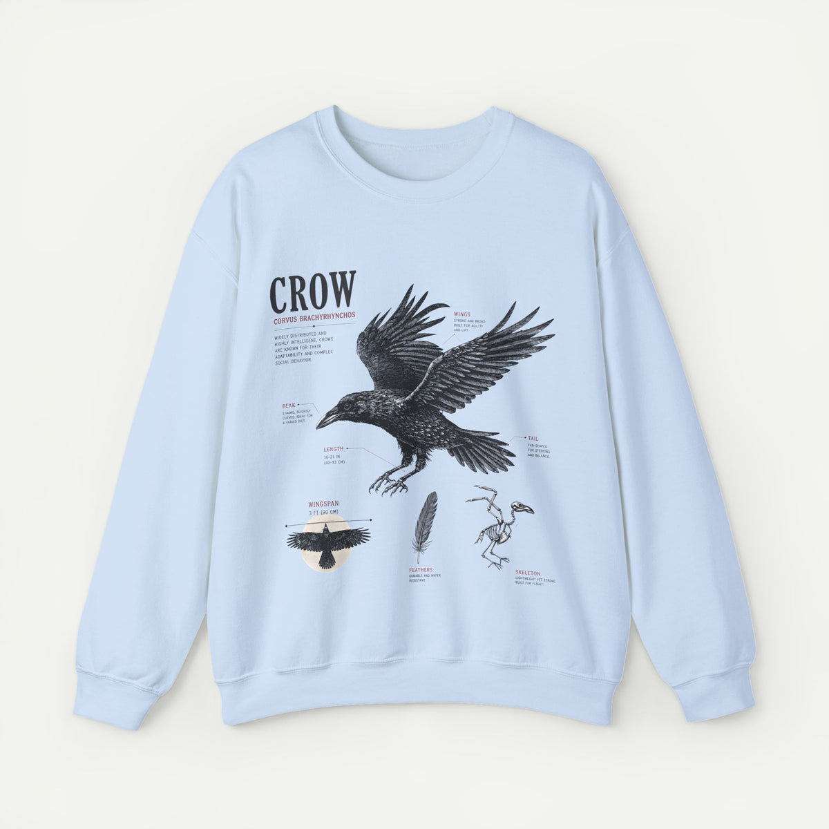 Crow Anatomy Sweatshirt