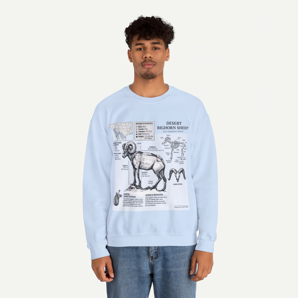 Desert Bighorn Sheep Anatomy Sweatshirt