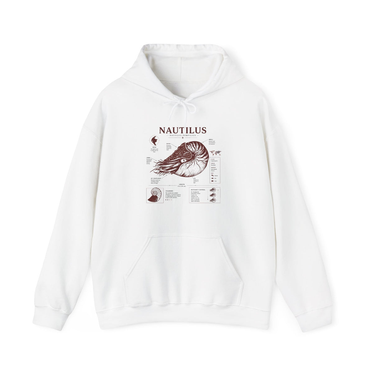 Nautilus Anatomy Hoodie – Vintage Scientific Shell Diagram Sweatshirt Main image