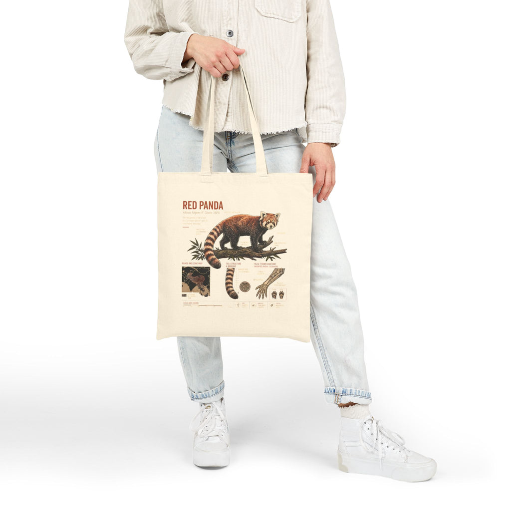 Red Panda Anatomy Canvas Tote Bag — Vintage Wildlife Illustration Eco Shopper