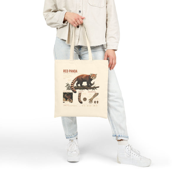 Red Panda Anatomy Canvas Tote Bag — Vintage Wildlife Illustration Eco Shopper