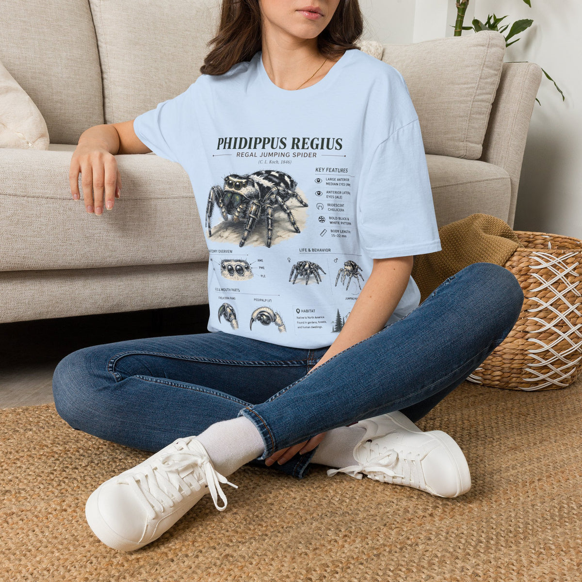 Phidippus Regius Jumping Spider Anatomy T-Shirt — Educational Arachnid Tee