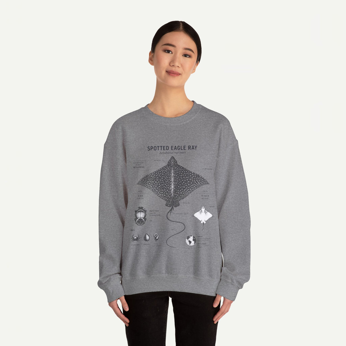 Spotted Eagle Ray Anatomy Sweatshirt – Marine Biology Illustration