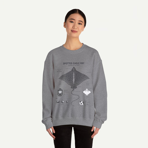 Spotted Eagle Ray Anatomy Sweatshirt – Marine Biology Illustration