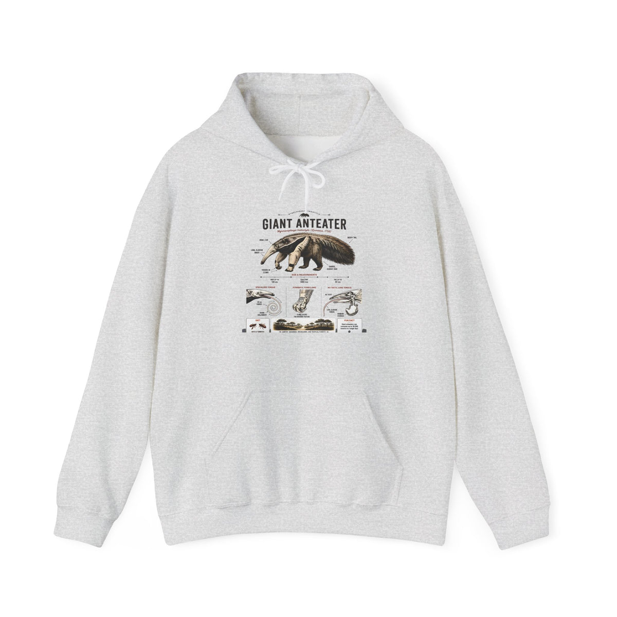 Giant Anteater Anatomy Hoodie — Illustrated Wildlife Diagram Sweatshirt