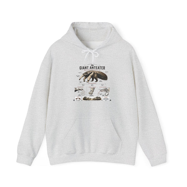 Giant Anteater Anatomy Hoodie — Illustrated Wildlife Diagram Sweatshirt