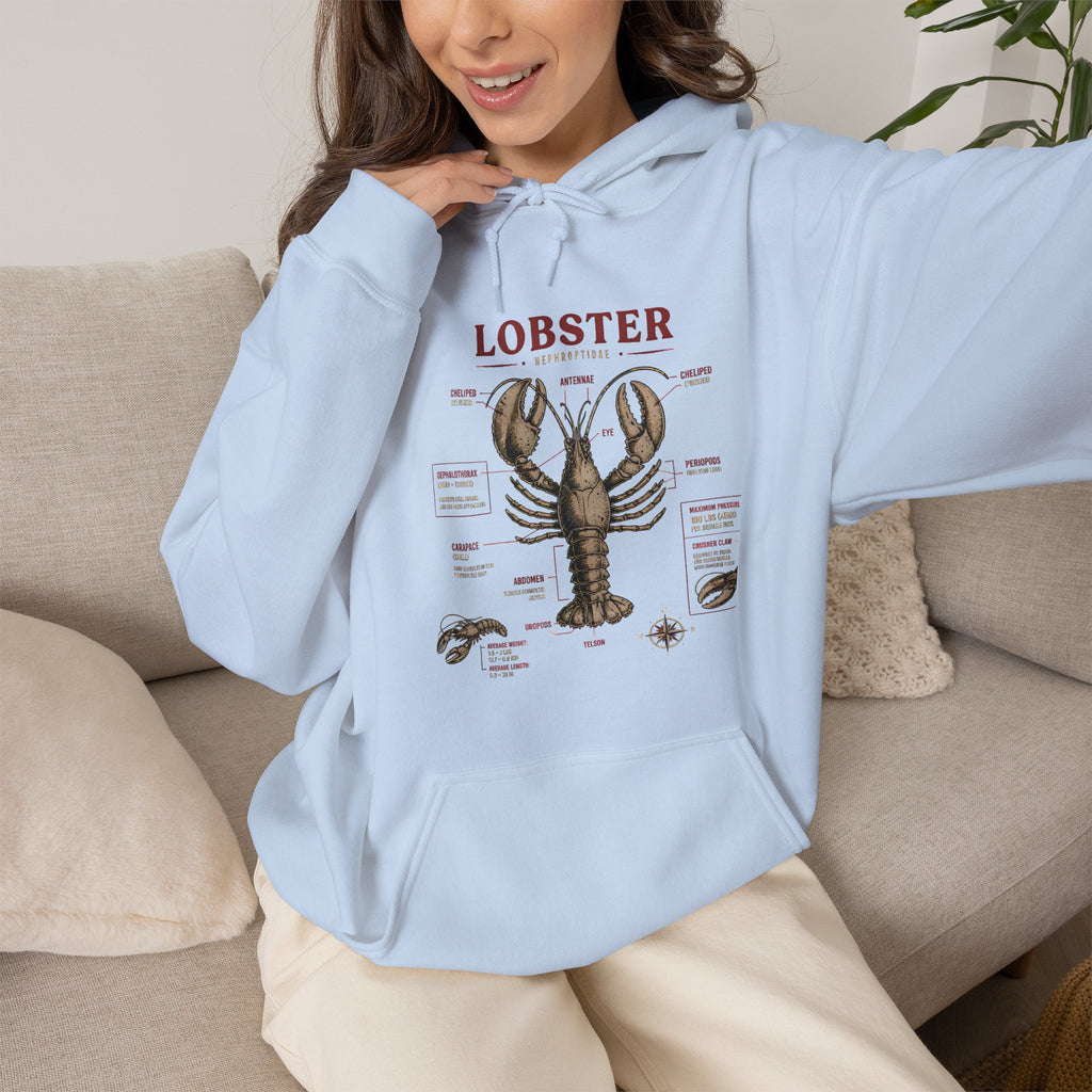 Lobster Anatomy Hoodie – Nautical Seafood Illustration Pullover
