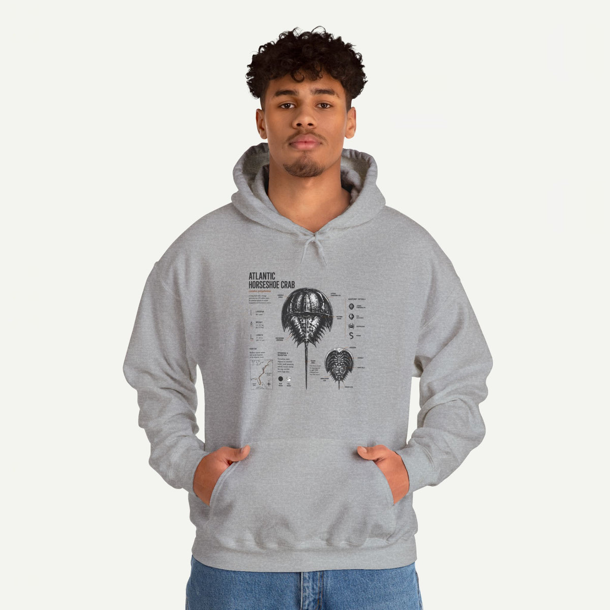 Horseshoe Crab Anatomy Hoodies