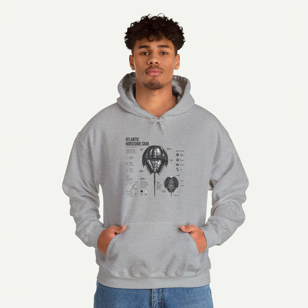 Horseshoe Crab Anatomy Hoodies