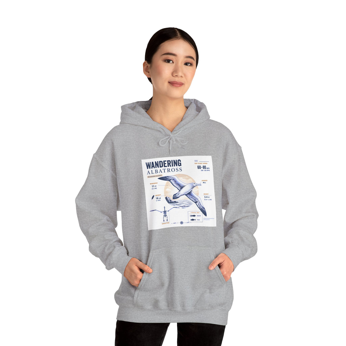 Wandering Albatross Hoodie — Illustrated Sea Bird Anatomy Pullover