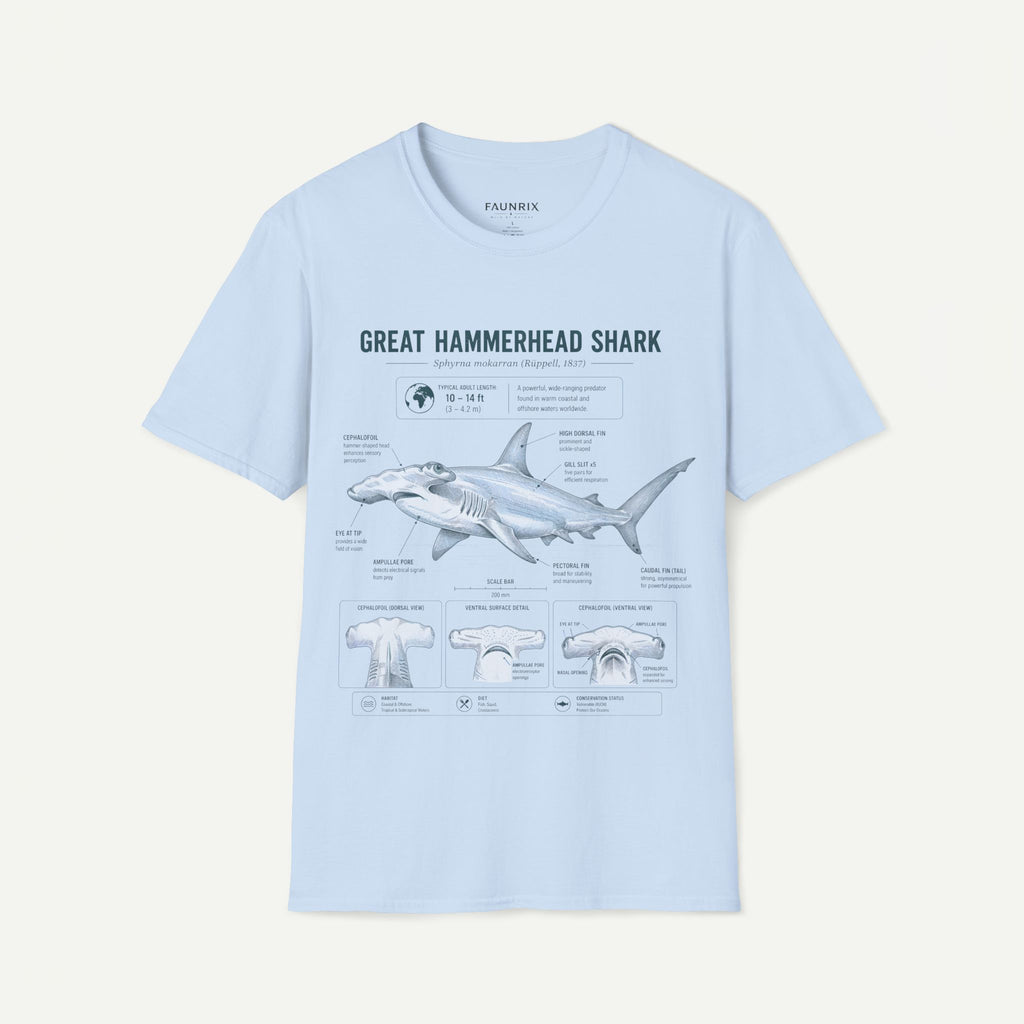 Hammerhead Shark Anatomy T-Shirt — Great Hammerhead Educational Tee