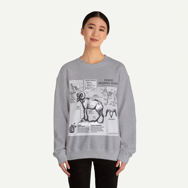 Desert Bighorn Sheep Anatomy Sweatshirt