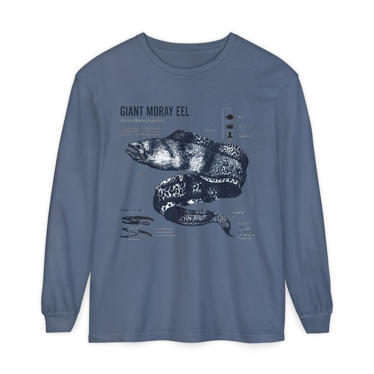Giant Moray Eel Anatomy Long Sleeve Shirt