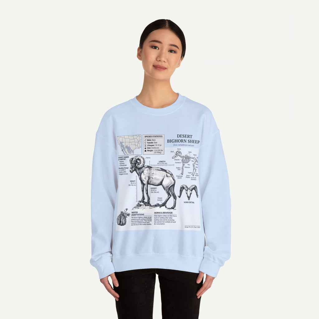 Desert Bighorn Sheep Anatomy Sweatshirt