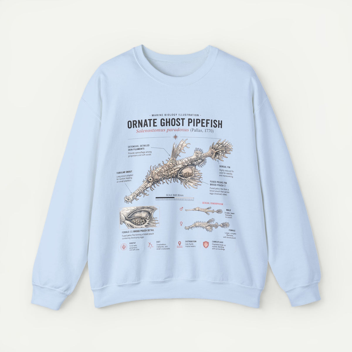Ornate Ghost Pipefish Anatomy Sweatshirt