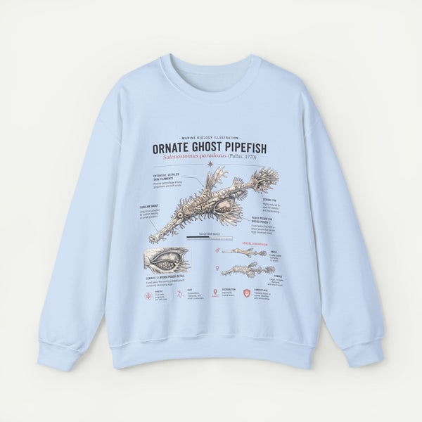 Ornate Ghost Pipefish Anatomy Sweatshirt