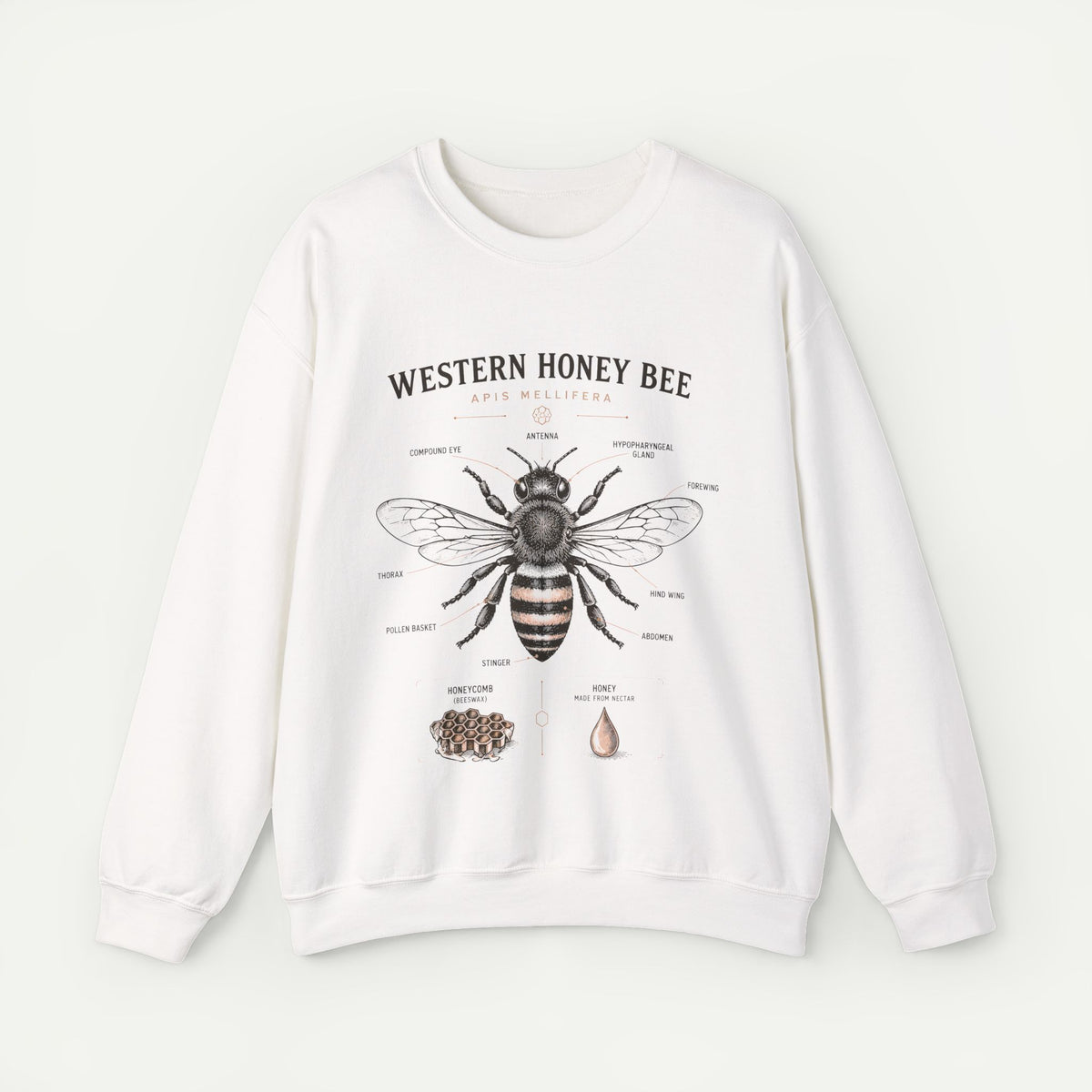 Western Honey Bee Sweatshirt — Vintage Bee Anatomy Graphic Main image