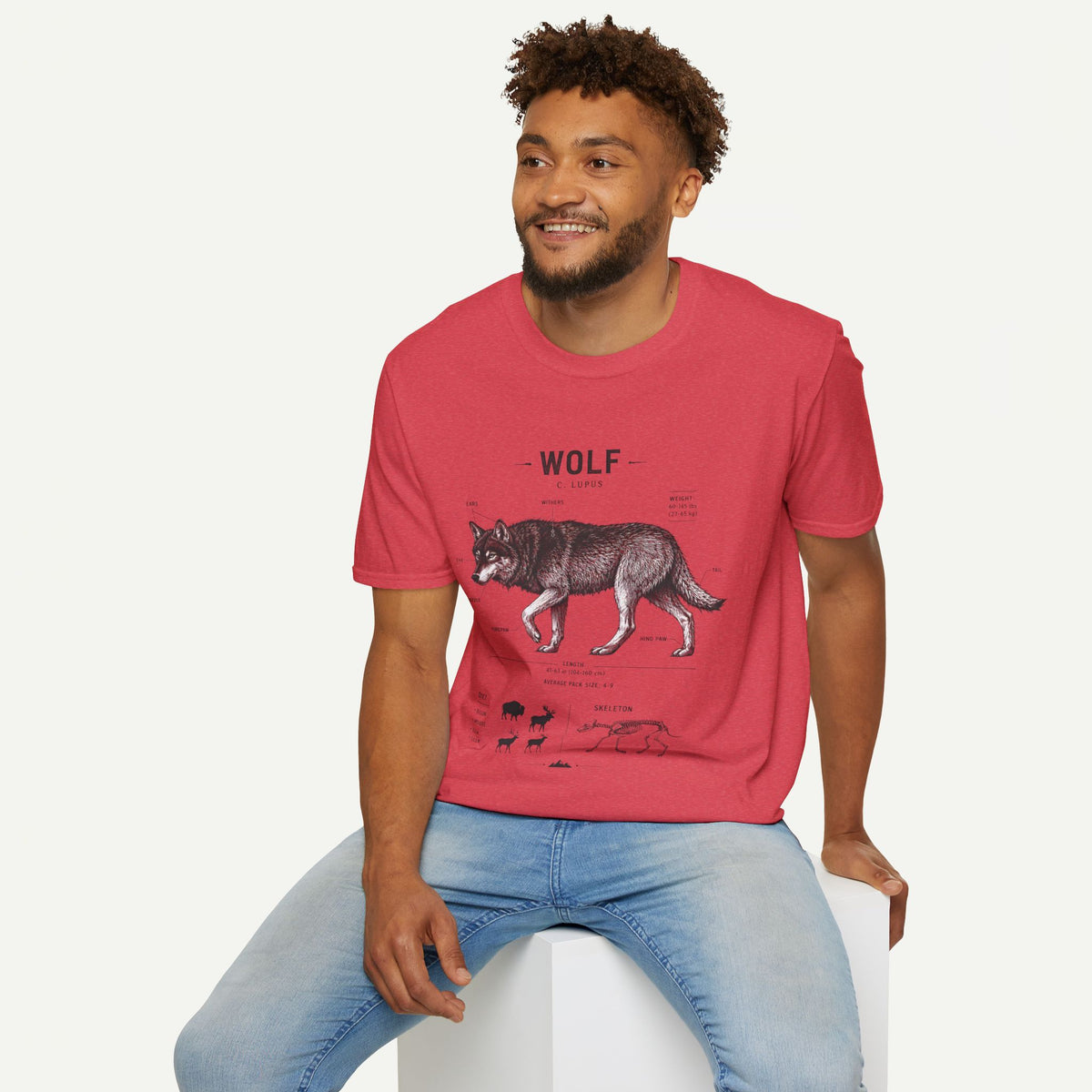 Wolf Anatomy T-Shirt — Vintage Scientific Illustration Tee