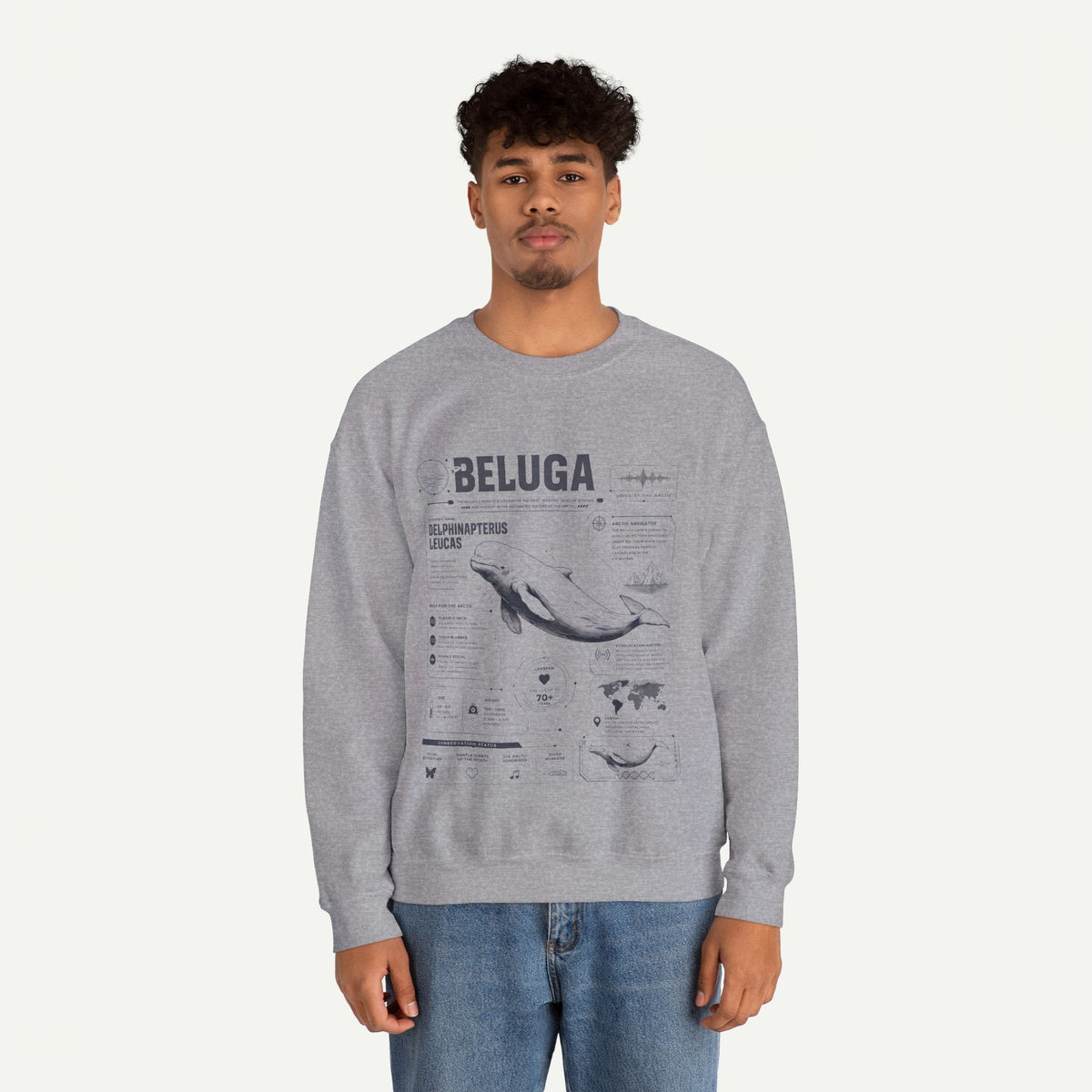 Beluga Whale Anatomy Sweatshirt