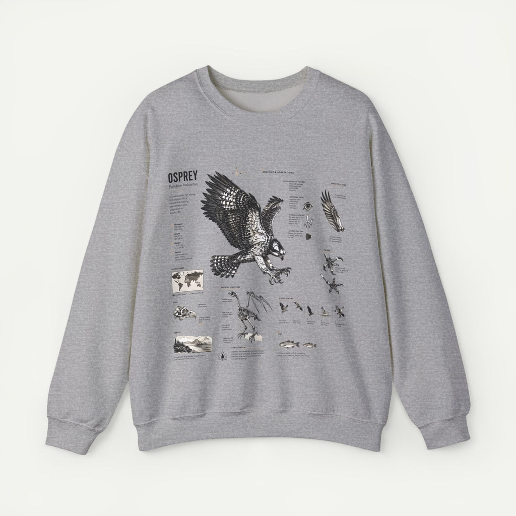 Osprey Anatomy Sweatshirt — Illustrated Bird Guide Pullover