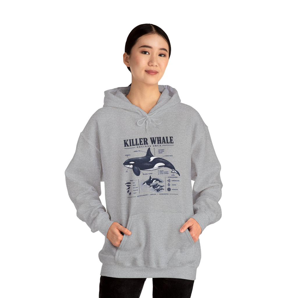 Killer Whale Anatomy Hoodie — Orca Scientific Diagram Sweatshirt