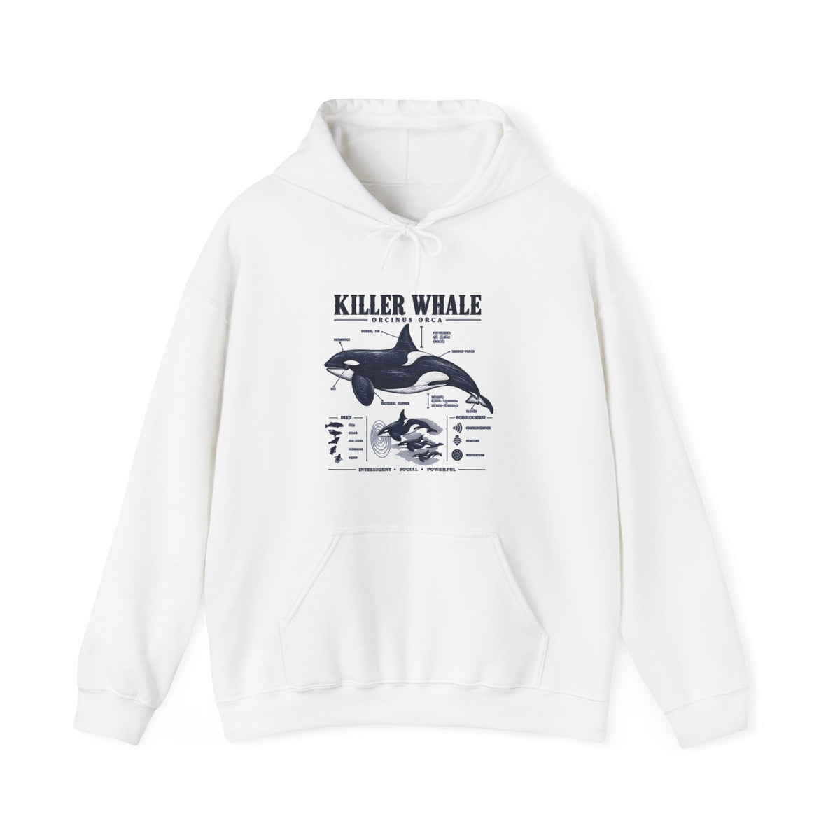 Killer Whale Anatomy Hoodie — Orca Scientific Diagram Sweatshirt