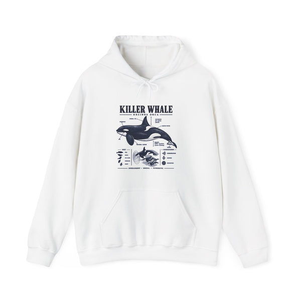 Killer Whale Anatomy Hoodie — Orca Scientific Diagram Sweatshirt