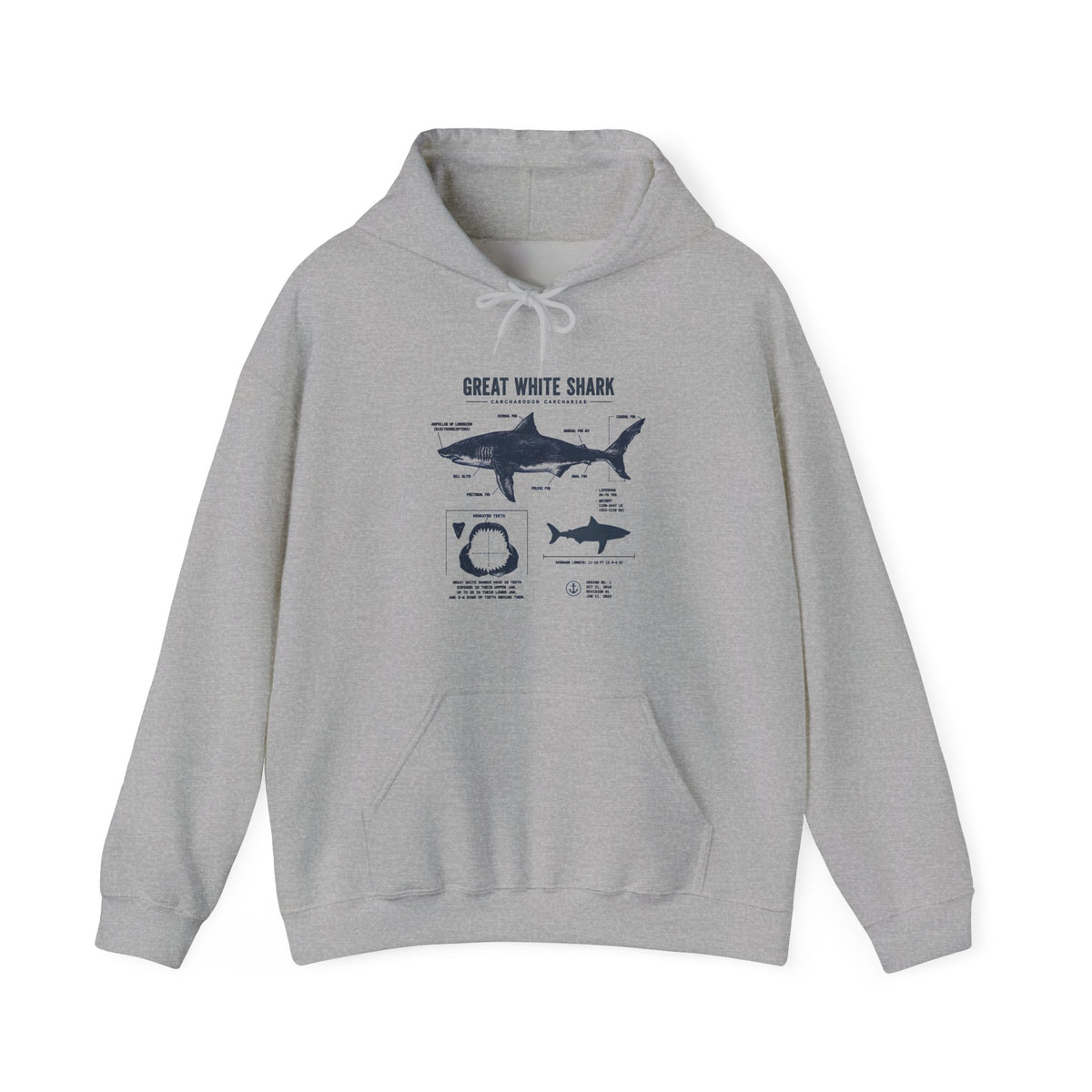 Shark Diagram Hoodie — Great White Shark Anatomy Graphic Sweatshirt